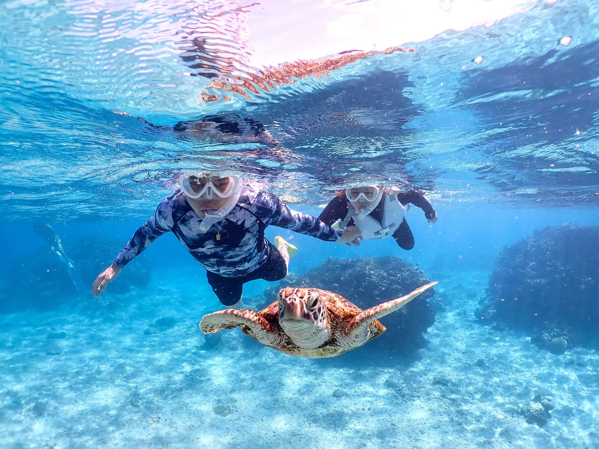 海亀との記念撮影
